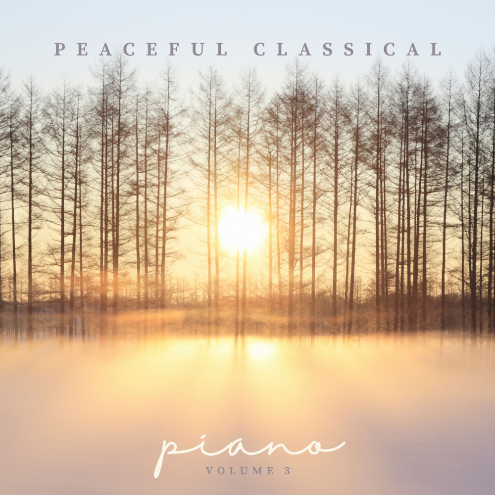 III. Scherzo. Allegro vivace