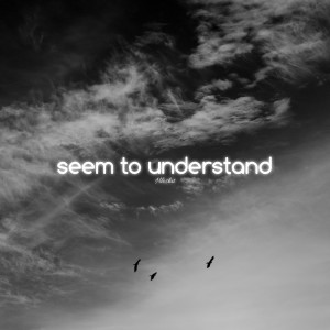 ดาวน์โหลดและฟังเพลง seem to understand พร้อมเนื้อเพลงจาก Hloshit