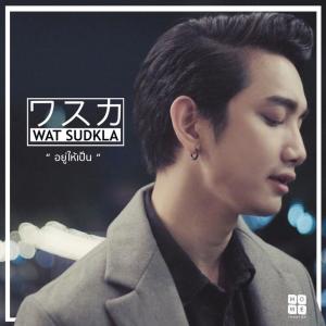 Listen to อยู่ให้เป็น song with lyrics from WAT SUDKLA