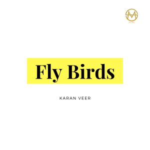 Listen to Fly Birds song with lyrics from Karan Veer