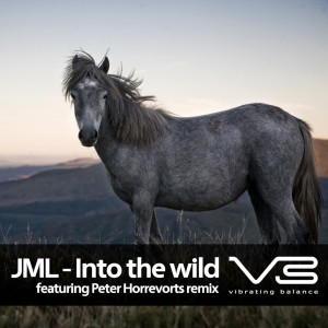ดาวน์โหลดและฟังเพลง Into The Wild (Peter Horrevorts Big Five remix) พร้อมเนื้อเพลงจาก JML