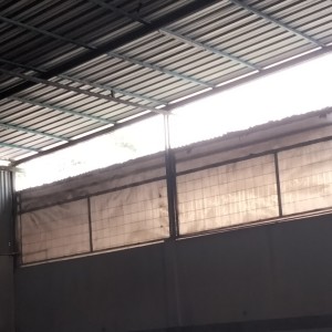 Album Kau yang menyakiti from Putri
