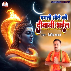 收听Jitendra Yadav的Pagali Bhole Ki Diwani Bhail歌词歌曲