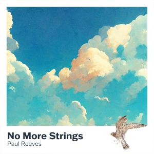 อัลบัม No More Strings ศิลปิน Paul Reeves