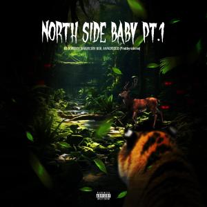 BT DOPEBOY的專輯Northside Baby Pt. 1 (feat. GAIGER, SRV BOII, AVAK & Recco) (Explicit)