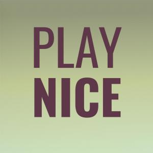 Various Artists的專輯Play Nice