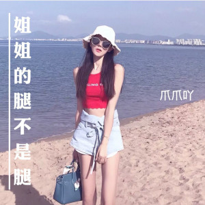 收聽爪爪吖的姐姐的腿不是腿歌詞歌曲