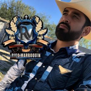 收聽Rigo Marroquín的NO LES LLORES EN LA TUMBA歌詞歌曲