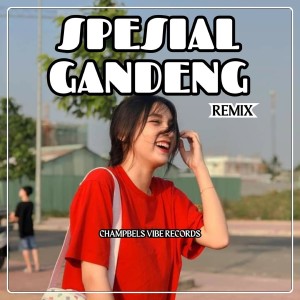 SPESIAL GANDENG (Remix) dari Tommy Martin 15