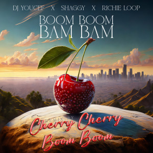 ดาวน์โหลดและฟังเพลง Boom Boom Bam Bam (Cherry Cherry Boom Boom Remix) พร้อมเนื้อเพลงจาก DJ Youcef