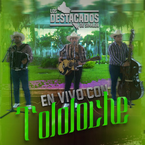 Listen to Cuarenta Cartas (En Vivo) song with lyrics from Los Destacados De Sinaloa