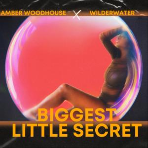 收聽Amber Woodhouse的Biggest Little Secret歌詞歌曲
