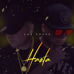 Album Hasta el Dia de Hoy (feat. Pablo Ignacio) from 