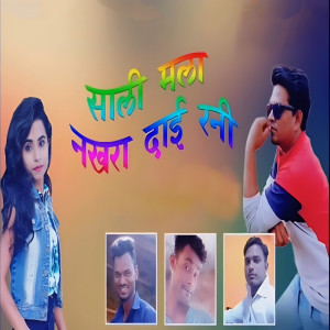 Listen to Sali Mala Nakhara Dai Rani song with lyrics from Vijay More