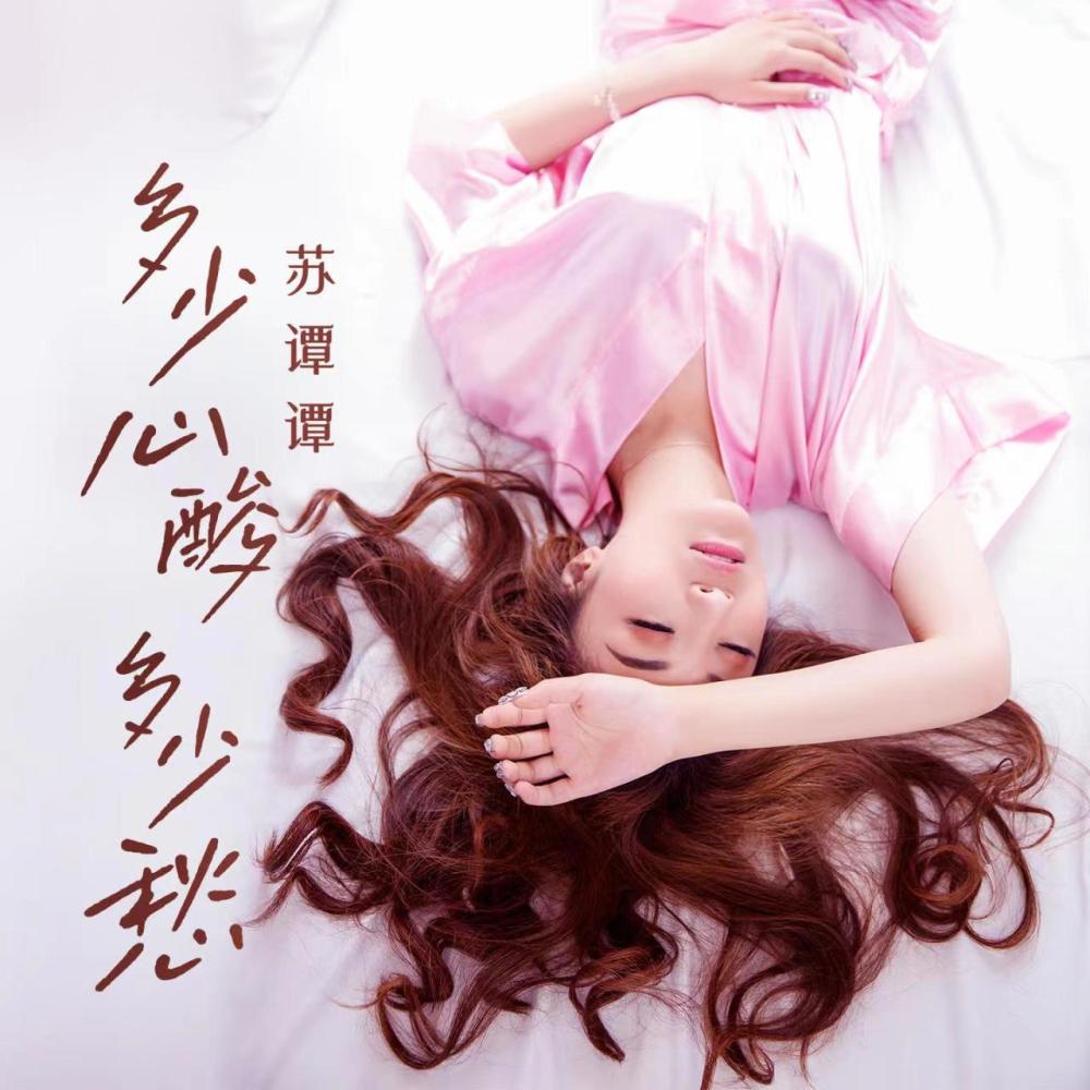 多少心酸多少愁 (伴奏)