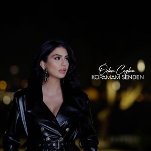 Listen to Kopamam Senden song with lyrics from Özlem Ceylan
