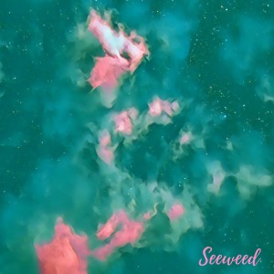 Listen to Hollow Days song with lyrics from Seeweed