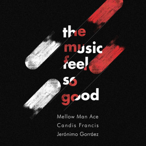 Album The Music Feels So Good from Mellow Man Ace