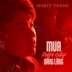 Album Mưa Trên Cây Bằng Lăng from Hamlet Trương