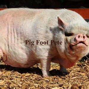Album Pig Foot Pete from Various