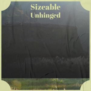 Various的专辑Sizeable Unhinged