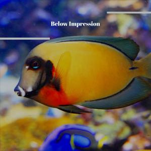 Various的专辑Below Impression