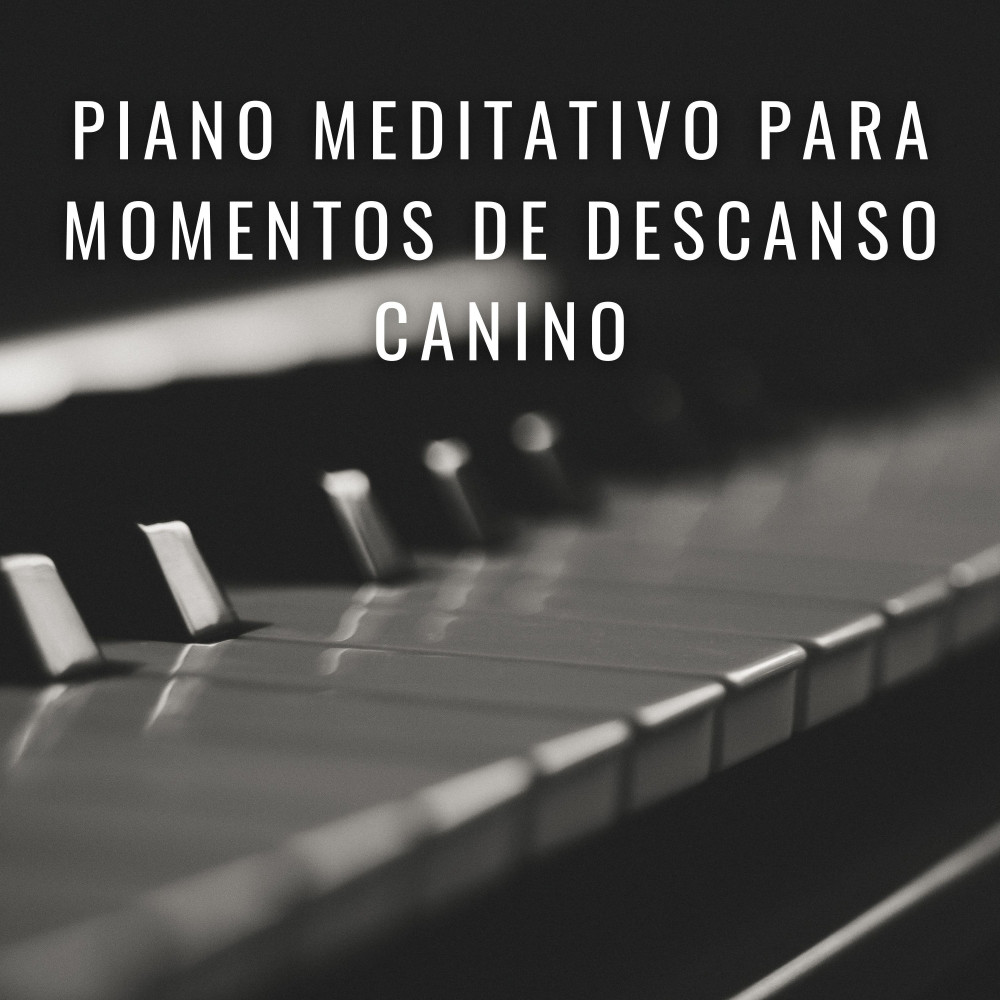 Sonidos De Piano Para La Serenidad Canina