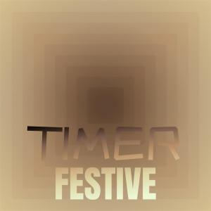 Various Artists的專輯Timer Festive