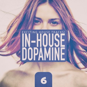 Album In-House Dopamine, Vol. 6 from Various