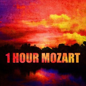 ดาวน์โหลดและฟังเพลง Piano Concerto No. 21 in C Major, K. 467 - "Elvira Madigan": I. Allegro maestoso พร้อมเนื้อเพลงจาก Various Artists