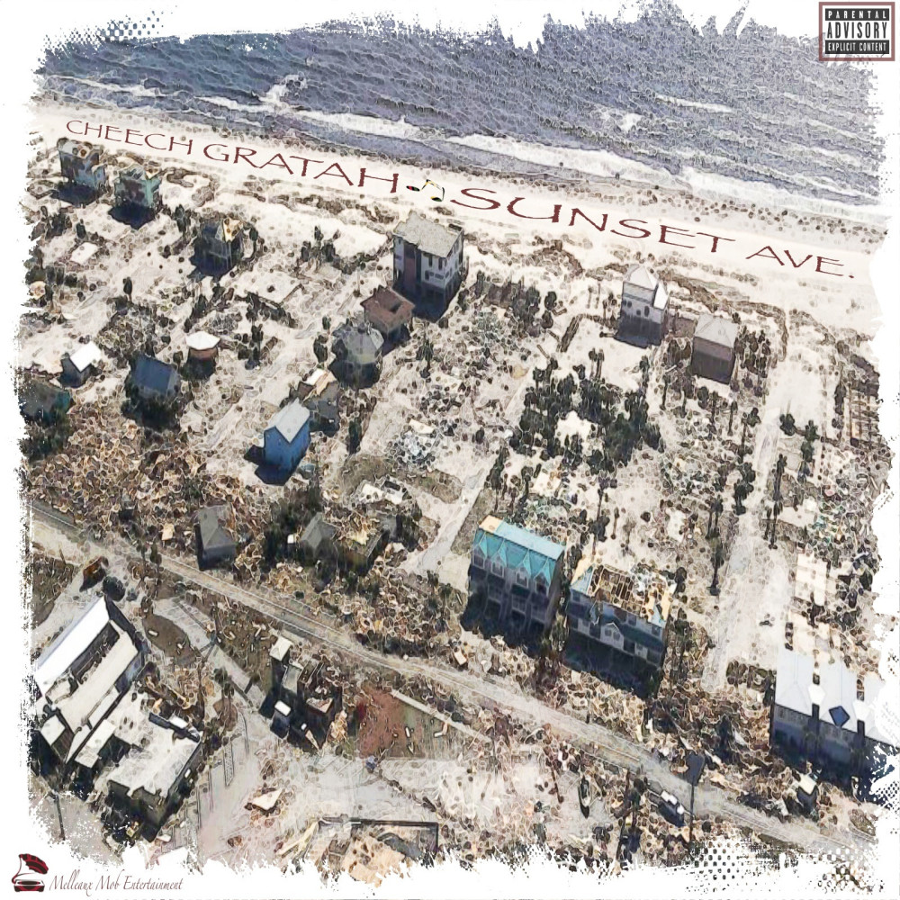 Too Many Days (Explicit)