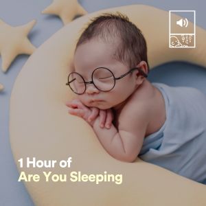 Album 1 Hour of Are You Sleeping from Nursery Rhymes