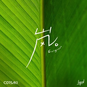 收聽CORSAK的嵐 Evergreen歌詞歌曲