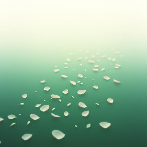 收聽Charlie Blake的Petals Sleep on the Jade River歌詞歌曲