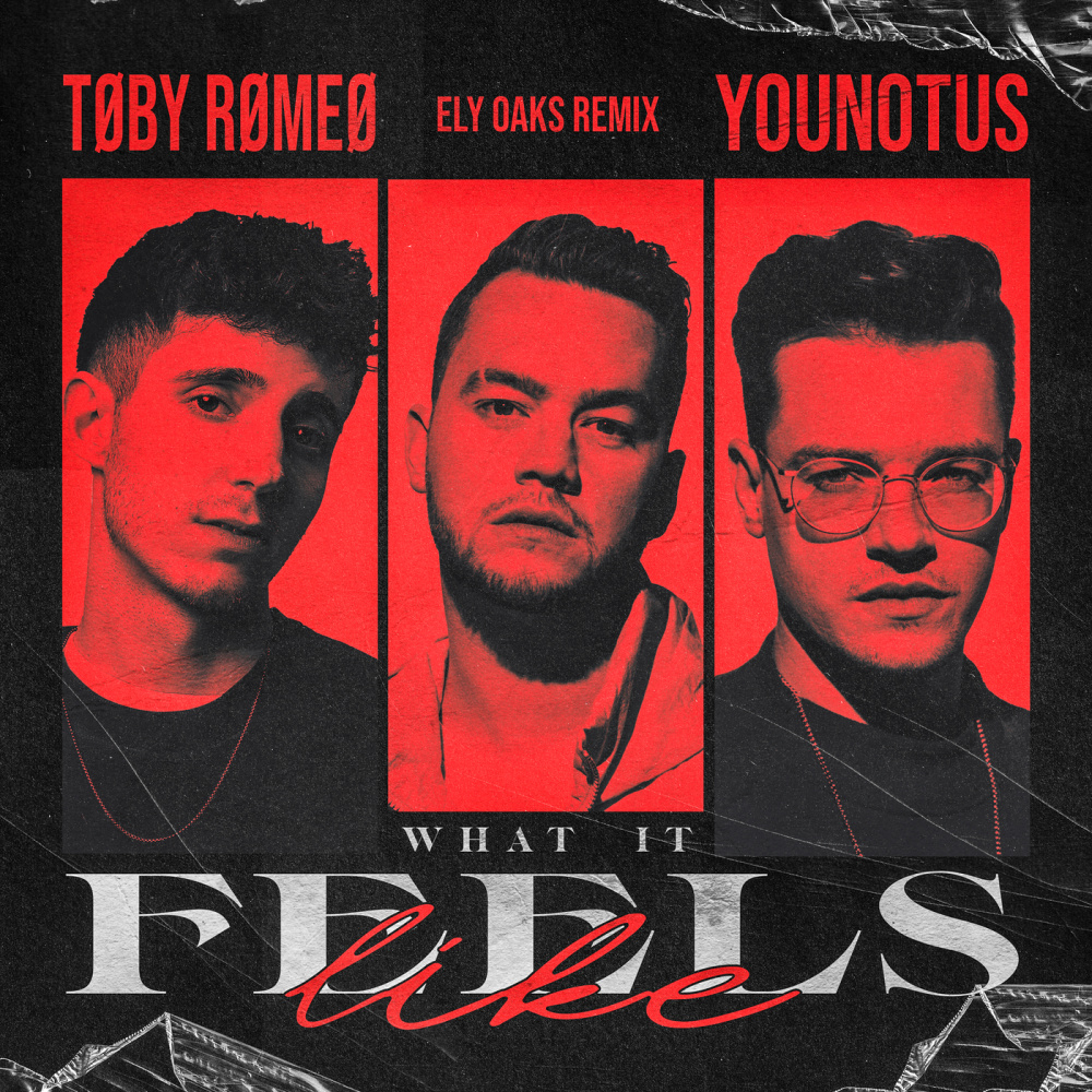 What It Feels Like (Ely Oaks Remix)