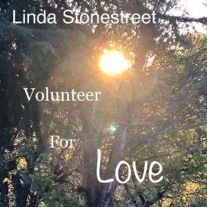 ดาวน์โหลดและฟังเพลง Volunteer for Love พร้อมเนื้อเพลงจาก Linda Stonestreet