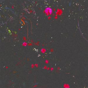 Dengarkan lagu Shine So Bright nyanyian Sadness dengan lirik