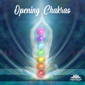 收聽Chakra Healing Music Academy的Ganesh Mantra歌詞歌曲