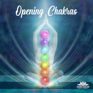 收聽Chakra Healing Music Academy的Harmony of Senses歌詞歌曲