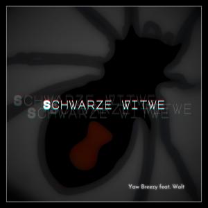 Schwarze Witwe (feat. Walt) (Explicit)