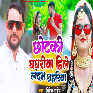 收聽Vivek Pandey的Chhotki Ghaghariya Hile Landon Shahariya歌詞歌曲