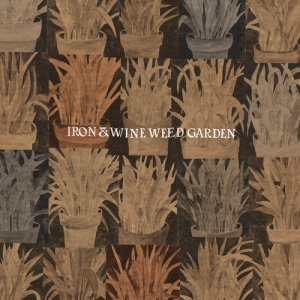 ดาวน์โหลดและฟังเพลง Waves of Galveston พร้อมเนื้อเพลงจาก Iron & Wine