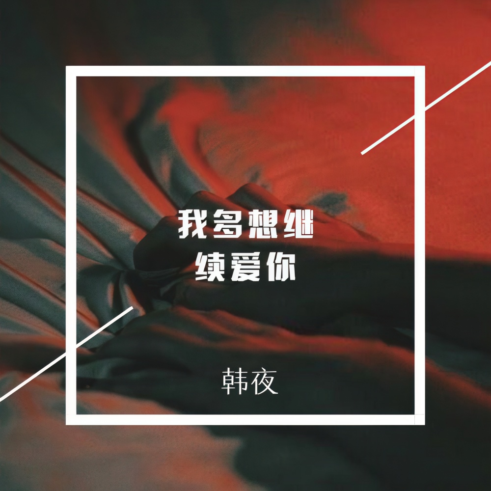 你是我到光 (DJ版)