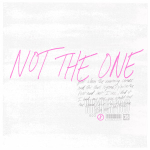 ดาวน์โหลดและฟังเพลง Not The One พร้อมเนื้อเพลงจาก WhoHurtYou