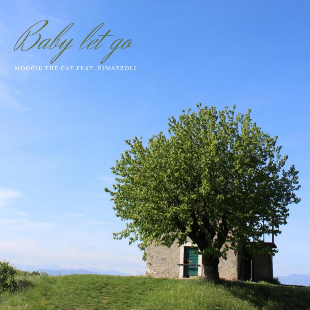 Baby Let Go(feat. Pimazzoli)