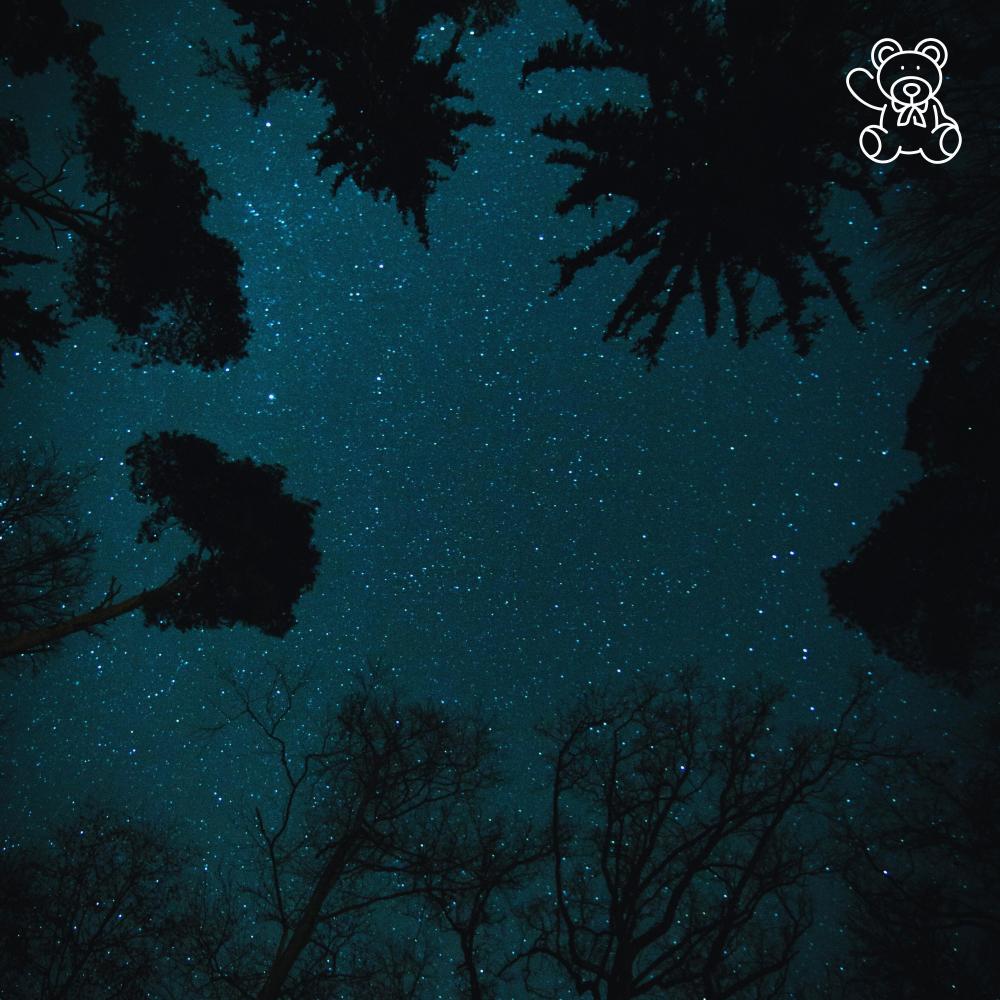 Let Go (feat. Wilse & Wilse Inspired)