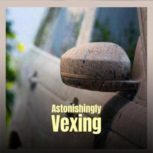 Album Astonishingly Vexing from Various