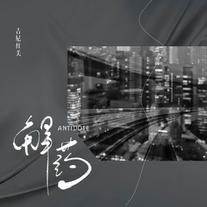 Listen to 解药 song with lyrics from 吉尼红美