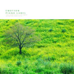 Album Meditation New Age Piano Presenting a Clear Heart from 