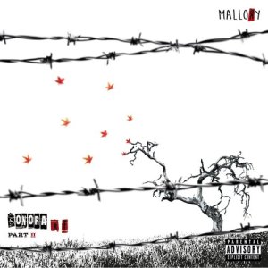 ดาวน์โหลดและฟังเพลง Dilemma พร้อมเนื้อเพลงจาก Mallory